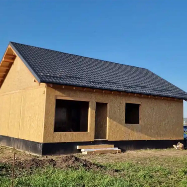 Casa Cîțu