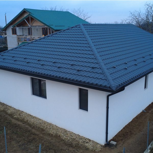 Casa Vilceanu